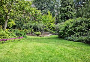 Optimiser l'expérience du jardin à Mayenne